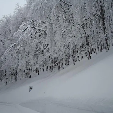 Rialto Appartamento Terminillo